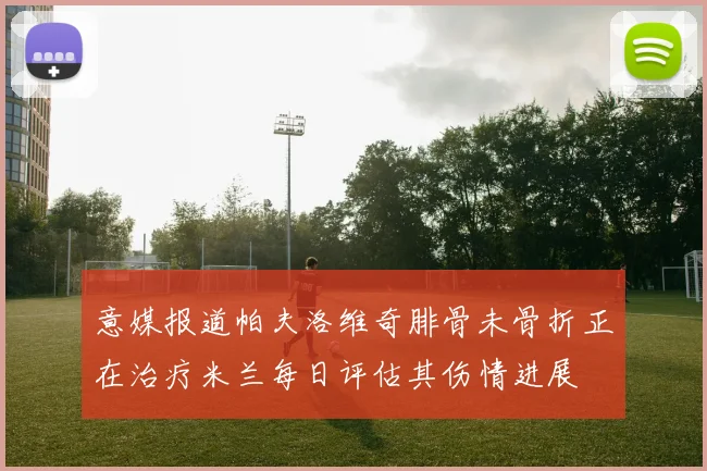 意媒报道帕夫洛维奇腓骨未骨折正在治疗米兰每日评估其伤情进展