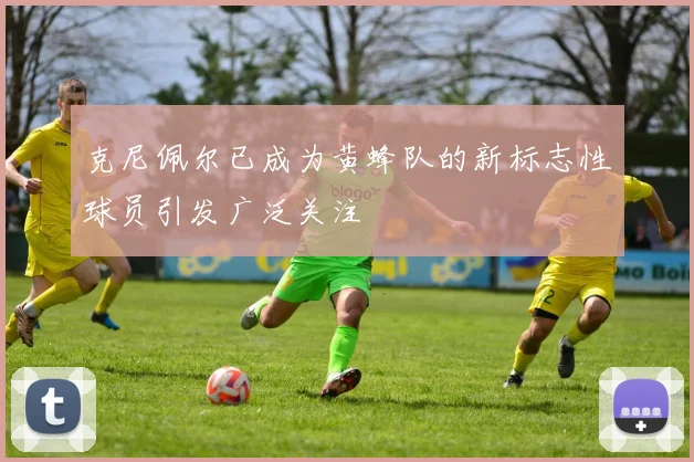克尼佩尔已成为黄蜂队的新标志性球员引发广泛关注